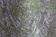 Glack fibreglass roof work